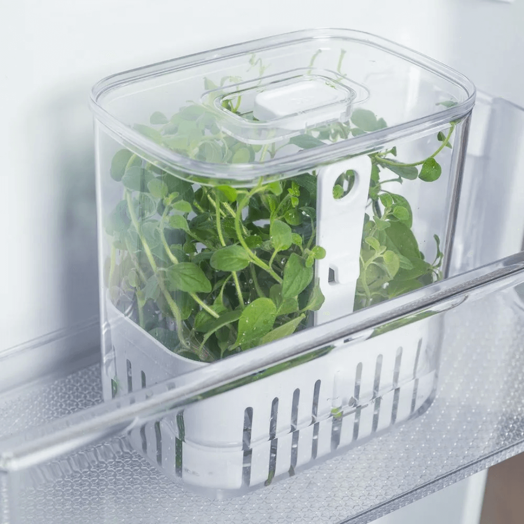 Organizador Pote para Temperos Frescos Clear Fresh 1,5 Litros