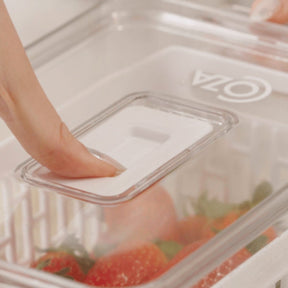 Cesto Organizador de Geladeira Empilhável Dry 6 Litros