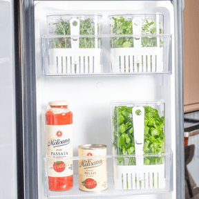 Organizador Pote para Temperos Frescos Clear Fresh 1,5 Litros