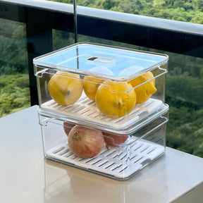 Kit 2 Organizadores Clear Fresh 2,2 Litros