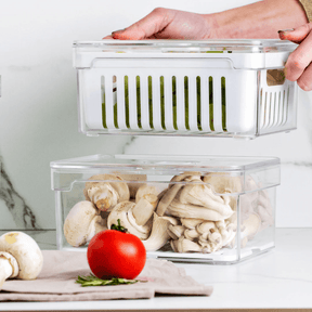 Kit 2 Organizadores Clear Fresh 2,2 Litros