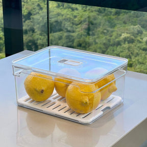 Kit 2 Organizadores Clear Fresh 2,2 Litros