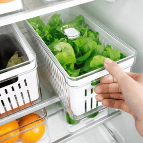 Kit 2 Organizadores Clear Fresh com Cesto 5 Litros