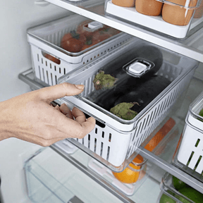 Kit 2 Organizadores Clear Fresh com Cesto 5 Litros