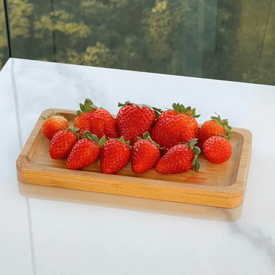 Kit 6 Bandejas Petisqueiras Hire Bambu 20cm x 10cm