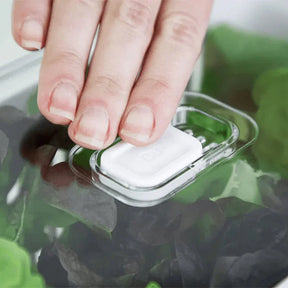 Kit de 4 Organizadores de Geladeira Clear Fresh com Cesto 2,2 Litros