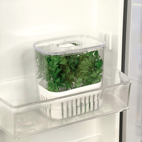 Organizador Pote para Temperos Frescos Clear Fresh 1,5 Litros