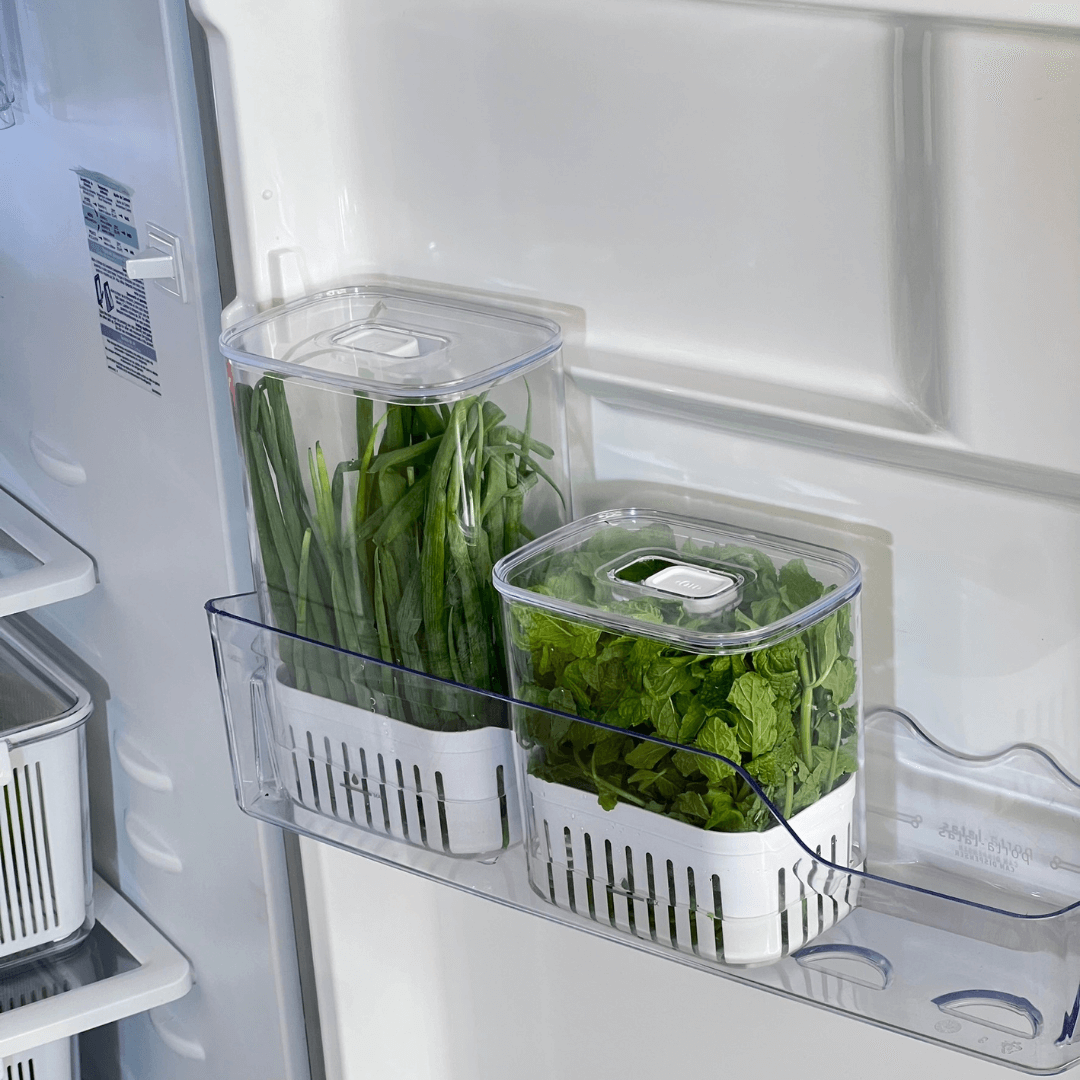 Organizador Pote para Temperos Frescos Clear Fresh 1,5 Litros