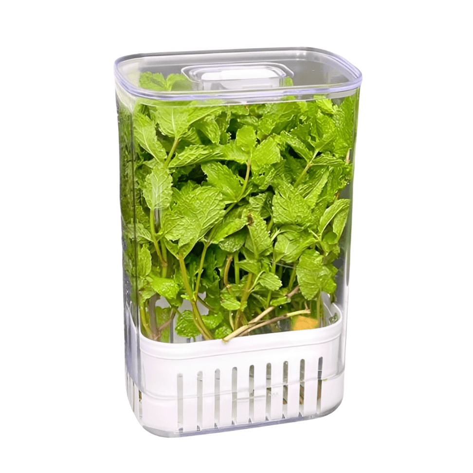 Organizador Pote para Temperos Frescos Clear Fresh 2,3 Litros