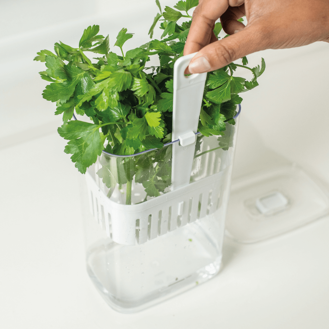 Organizador Pote para Temperos Frescos Clear Fresh 2,3 Litros