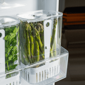 Organizador Pote para Temperos Frescos Clear Fresh 2,3 Litros