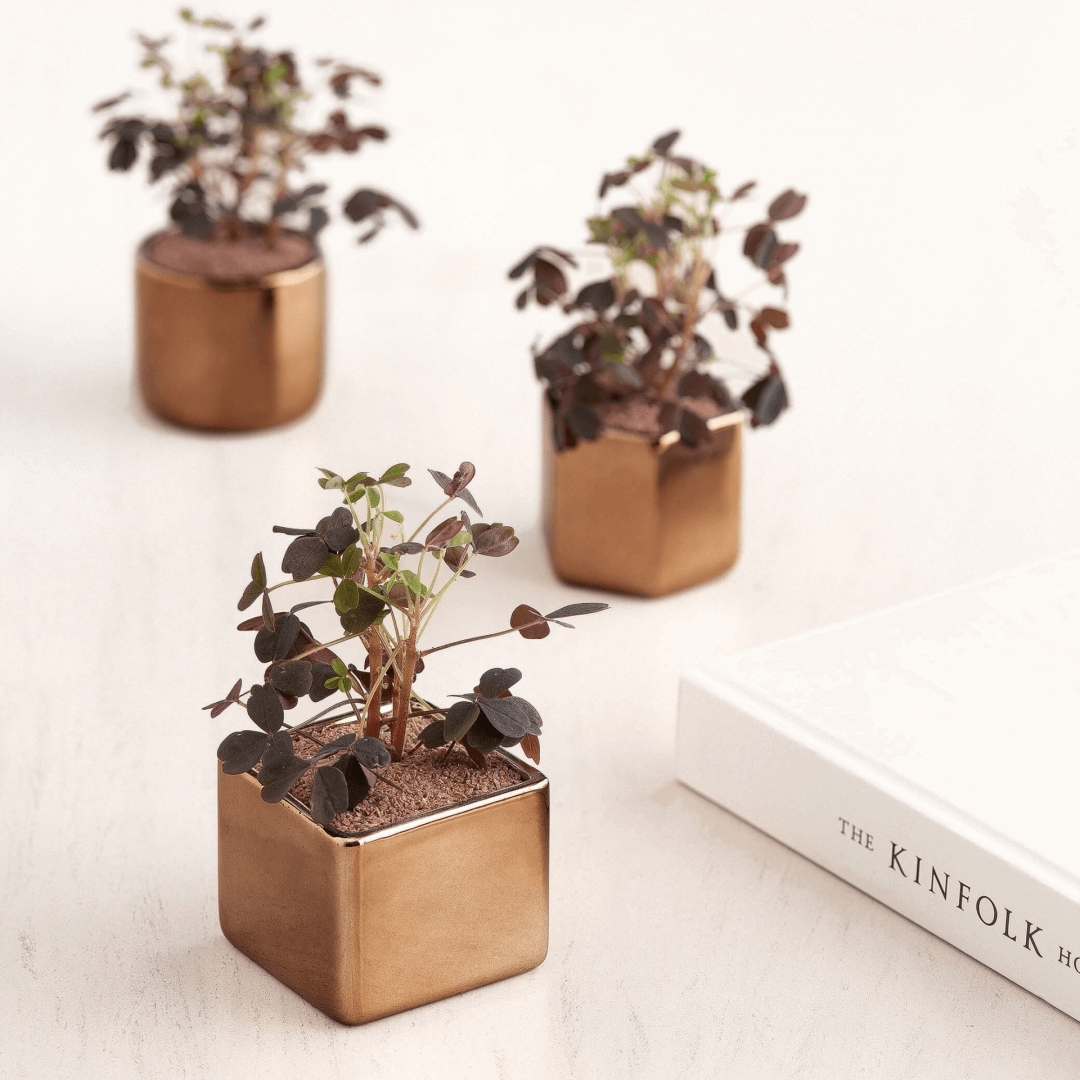 Vaso Cachepot Hexágono Porta-Velas Em Cerâmica Rose Gold - 6 x 7 cm